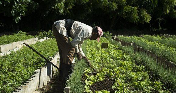 Imagen relacionada con la noticia :Efectos del ordenamiento monetario en las bases productivas del sector agropecuario