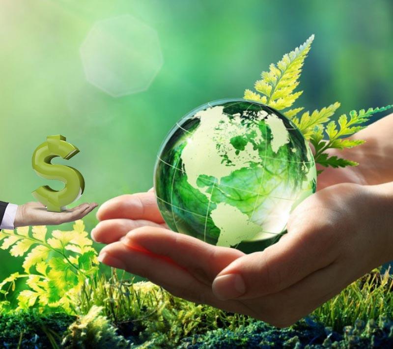 Imagen relacionada con la noticia :Concluye Taller de capacitación en Banca Verde sobre gestión de salvaguardas ambientales y sociales