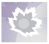 Detalle de seguridad 8