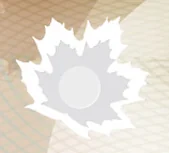 Detalle de seguridad 8