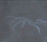 Detalle de seguridad 8