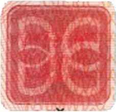 Detalle de seguridad 5