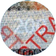 Detalle de seguridad 7