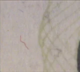 Detalle de seguridad 4