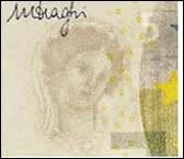 Detalle de seguridad 3