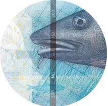 Detalle de seguridad 3