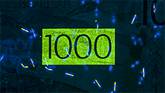 Detalle de seguridad 10