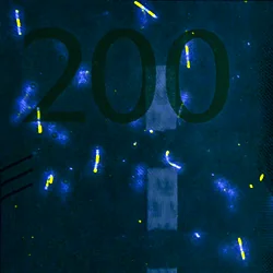 Detalle de seguridad 8