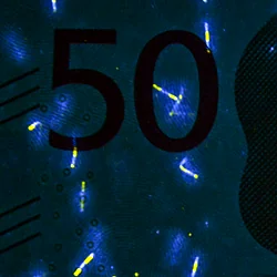 Detalle de seguridad 9