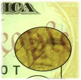 Detalle de seguridad 7