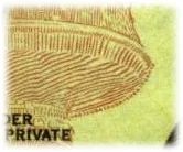 Detalle de seguridad 9